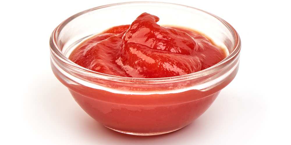 ¿Los perros pueden comer salsa de tomate? Guía completa y actualizada 2026