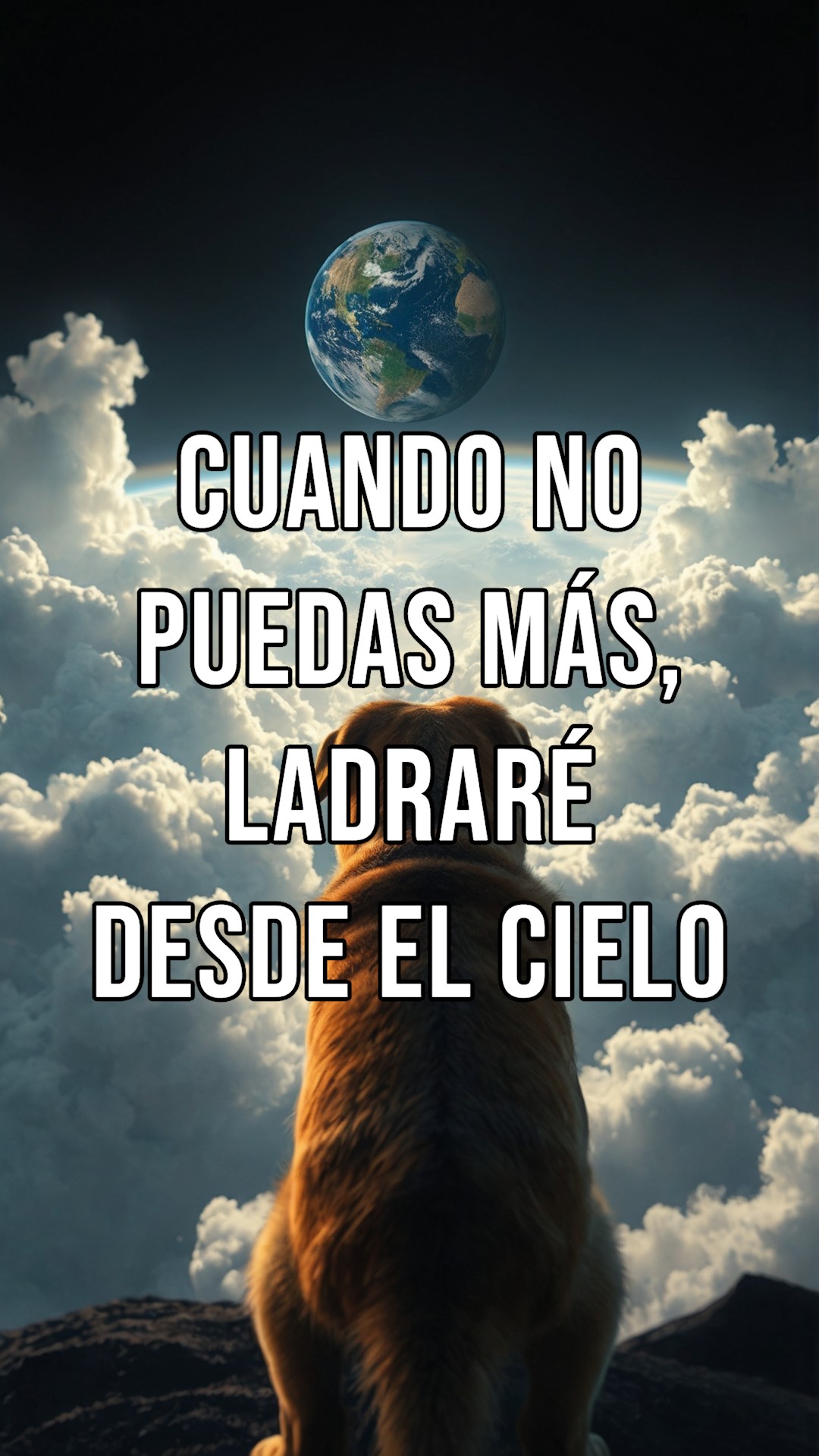 Guía para Superar el Duelo por Tu Mascota