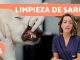 Cuidados Dentales en Perros Mayores: Tips de Prevención y Manejo