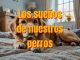 Los sueños de nuestros perros
