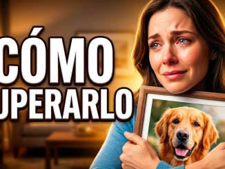 Qué Pasa Después de la Pérdida: Guía para Superar el Duelo por Tu Mascota