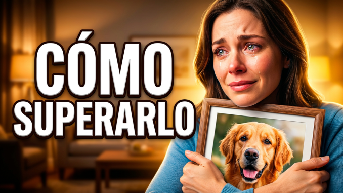 Qué Pasa Después de la Pérdida: Guía para Superar el Duelo por Tu Mascota
